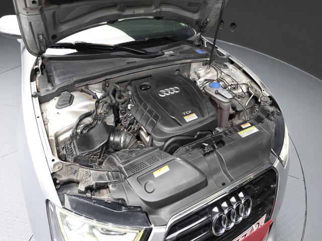 fcb377682d98860857049dbb8b21d730.jpeg