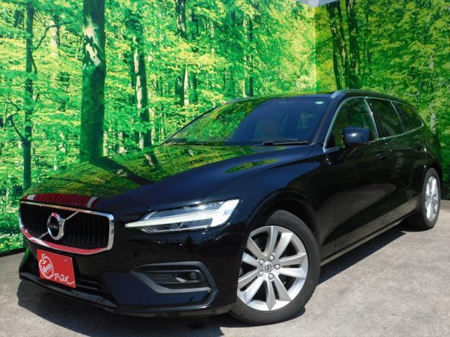 23302051_carP_l_1.jpg