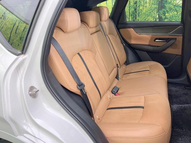 22261575_carP_l_19.jpg