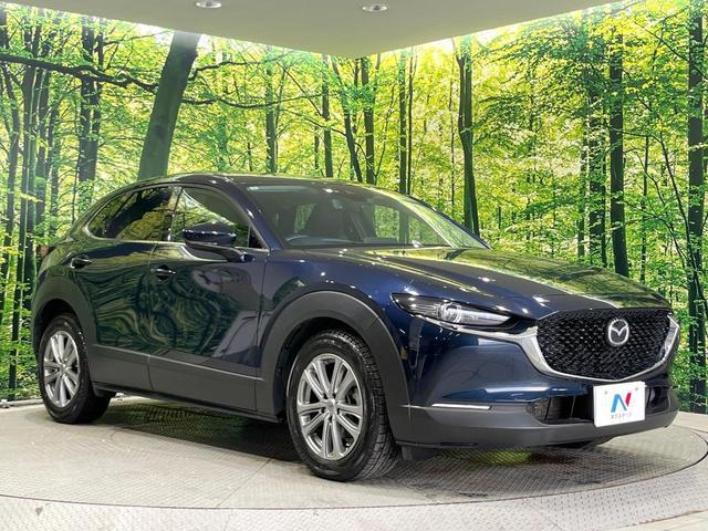 22373038_carP_l_11.jpg