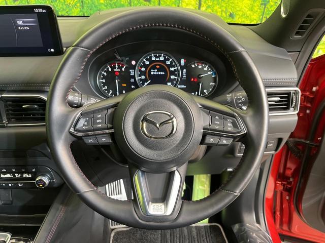 22699309_carP_l_5.jpg