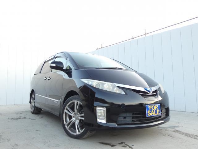 21947294_carP_l_1.jpg