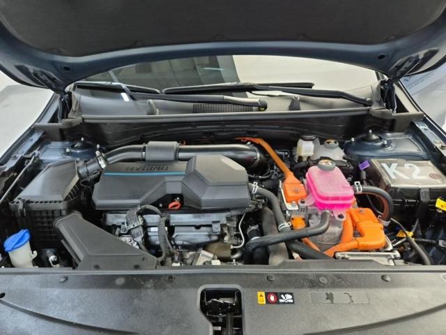 5091501879R5.jpg