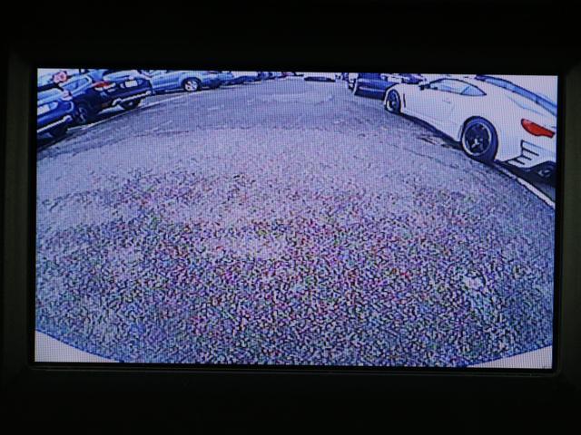 0509625A30260218W00915.jpg