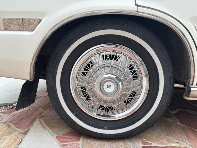 0801987A30250916W00110.jpg