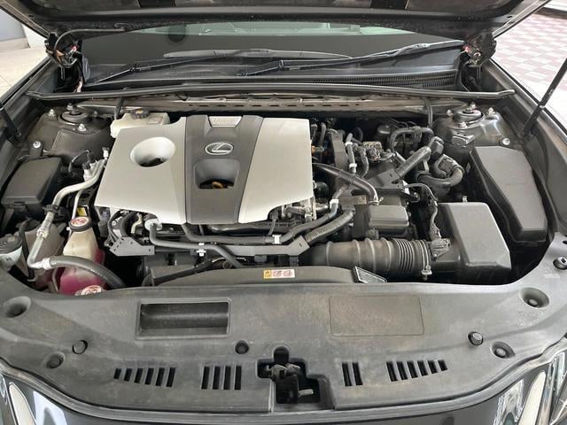 21200847_carP_l_12.jpg