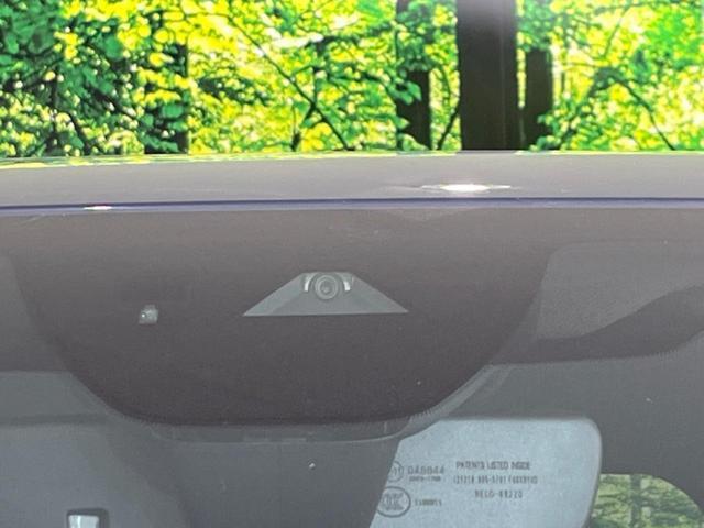 22150825_carP_l_15.jpg