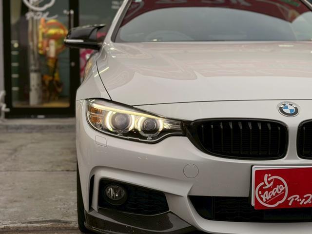 22733566_carP_l_19.jpg