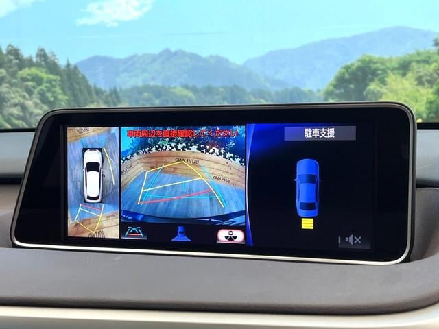 18608946_carP_l_4.jpg