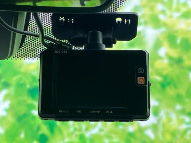 20608532_carP_l_8.jpg