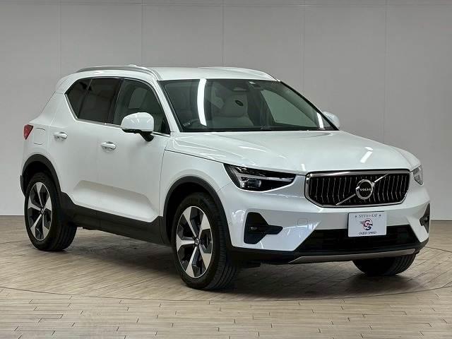 20986262_carP_l_8.jpg