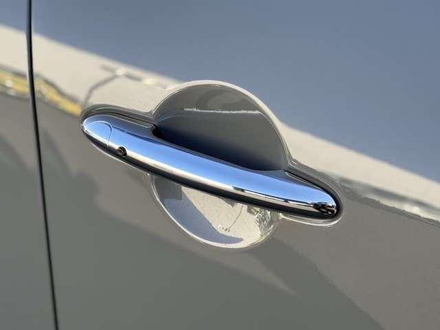 22563688_carP_l_17.jpg