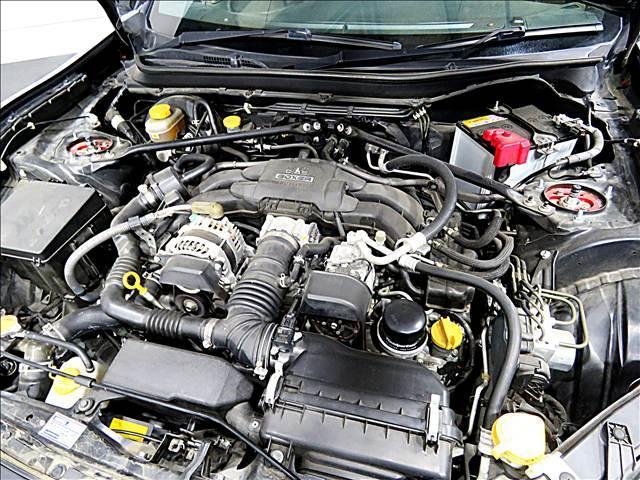 16908701_carP_l_20.jpg