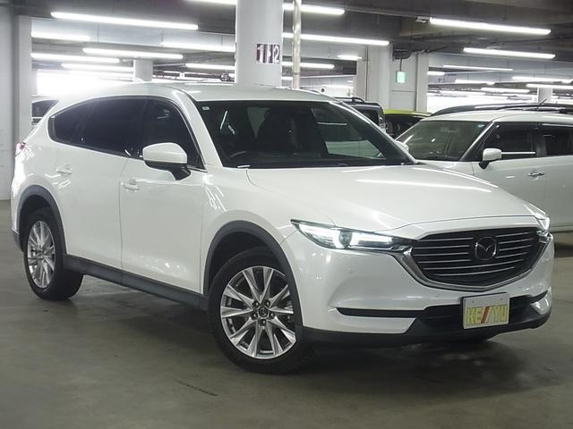 0500075A20260318K00904.jpg