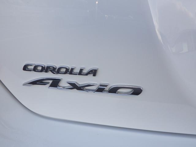 0800444A30260125W00114.jpg