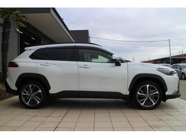21387962_carP_l_4.jpg