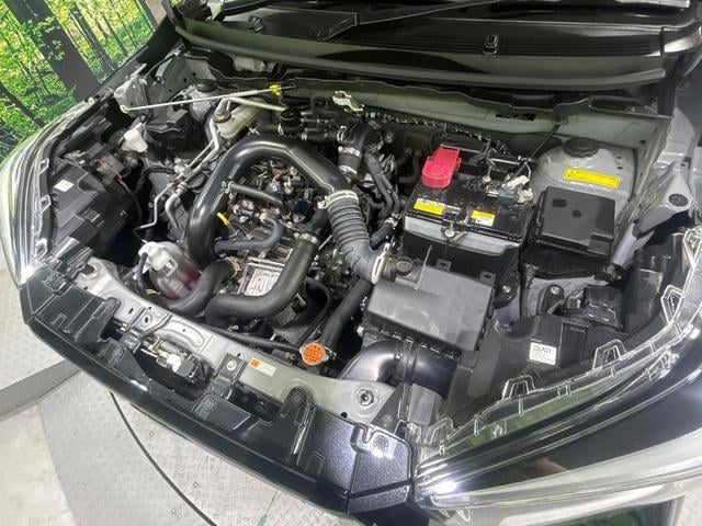 18316326_carP_l_18.jpg