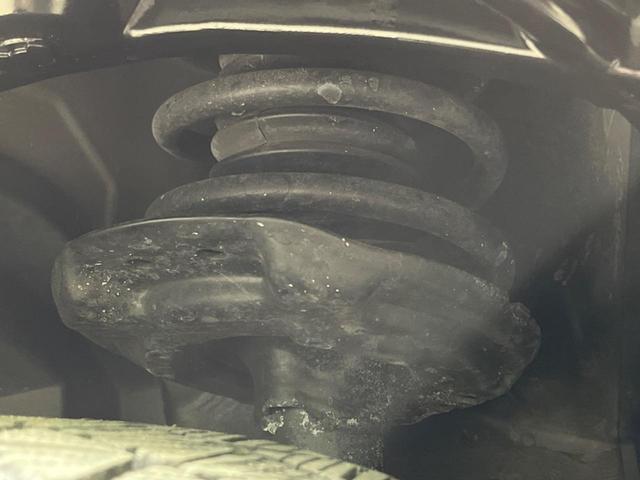 22205454_carP_l_20.jpg