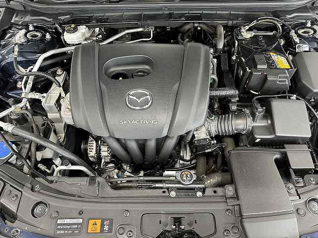 0561206A30250914W00110.jpg