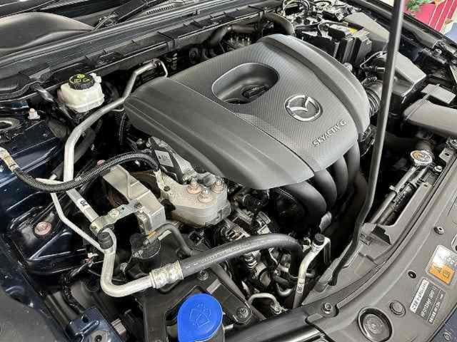 e282c5fd993b69a39351563cbee782a5.jpeg