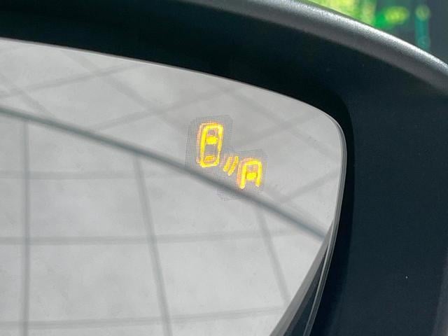 18389362_carP_l_17.jpg