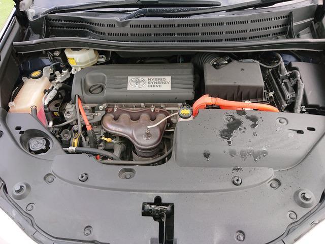 22185571_carP_l_8.jpg