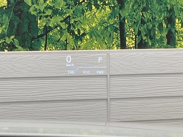 21798683_carP_l_17.jpg