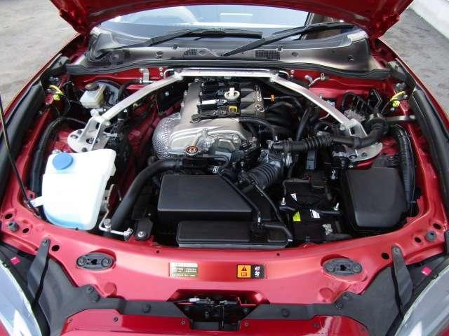 23258006_carP_l_9.jpg