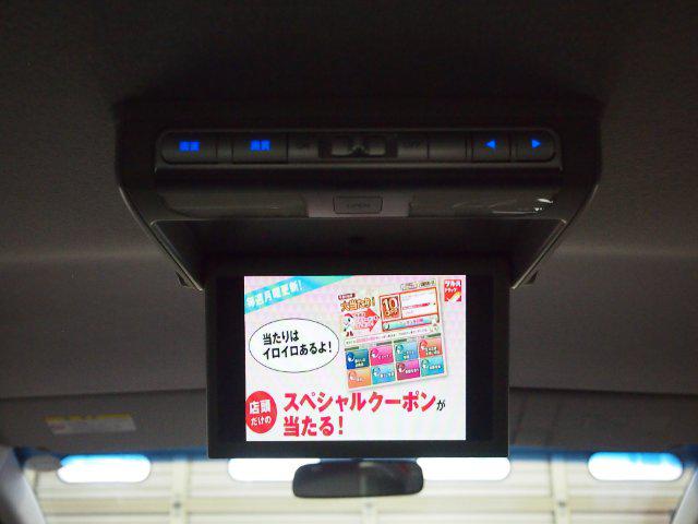 b205af130ba3a5e6eefd32a288f377de.jpg