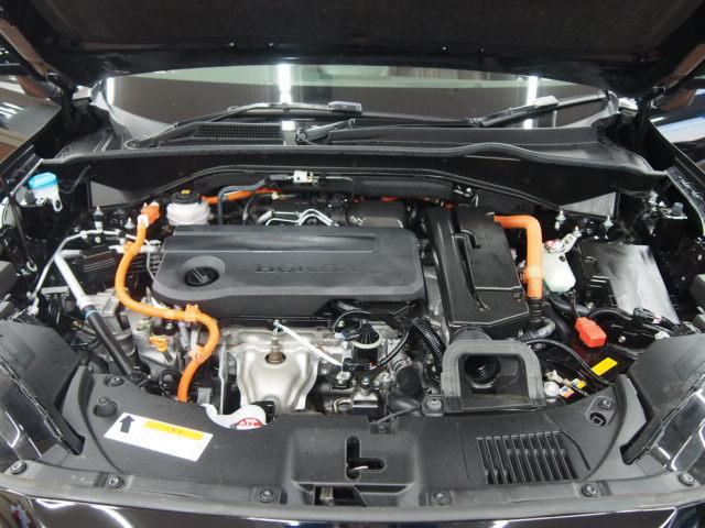 22074848_carP_l_17.jpg