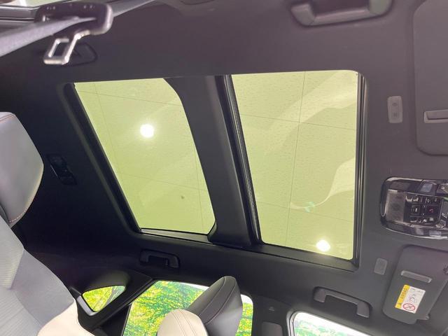 21601764_carP_l_15.jpg
