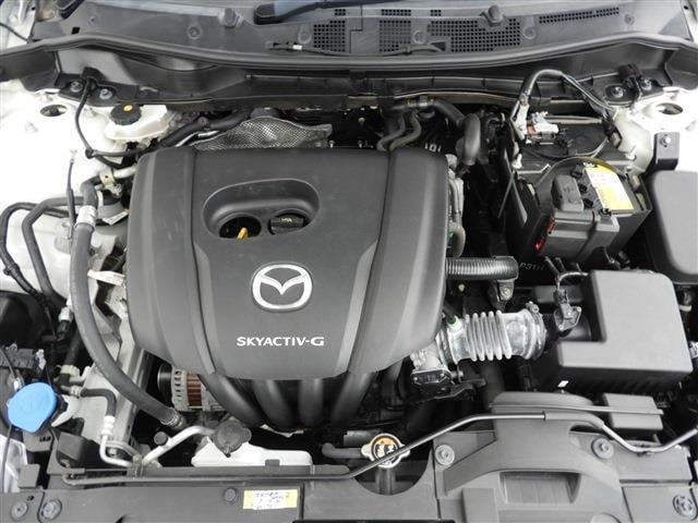 1300195A30241113W00712.jpg