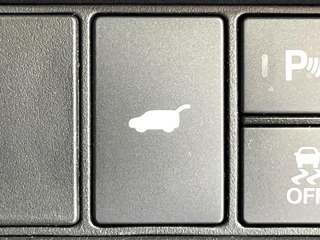 21514853_carP_l_14.jpg