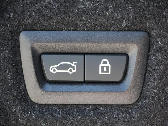 18793502_carP_l_2.jpg