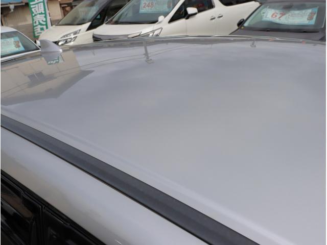 22113353_carP_l_5.jpg