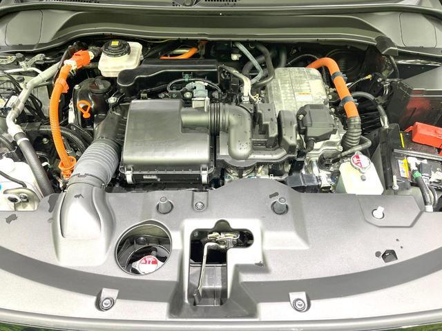 23074593_carP_l_16.jpg
