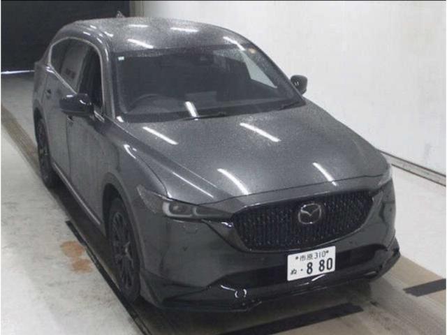 22897268_carP_l_1.jpg