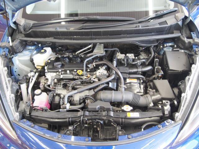 15582362_carP_l_17.jpg
