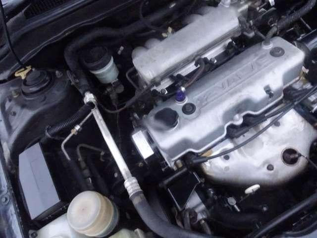 17948850_carP_l_9.jpg