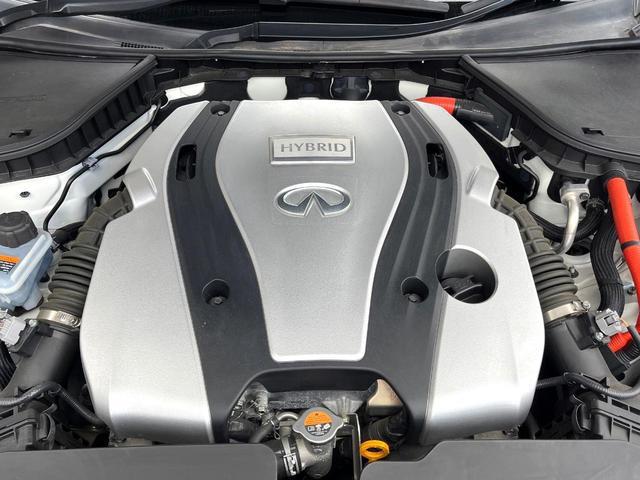 21450718_carP_l_12.jpg