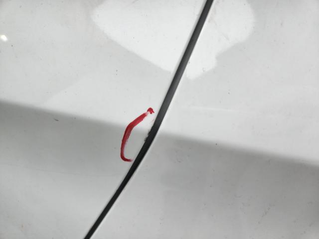 lotterental_16252063_WV6Zo_5.jpg