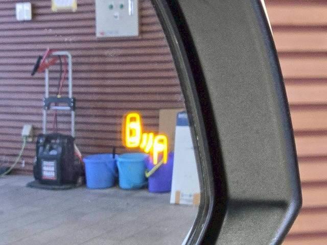 22145355_carP_l_2.jpg