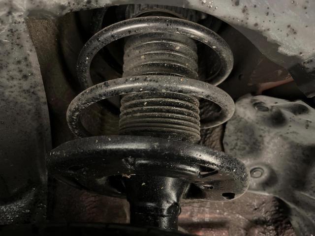21984599_carP_l_20.jpg
