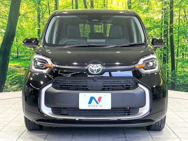 22660922_carP_l_9.jpg