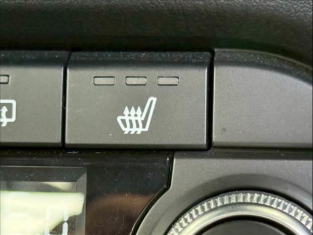 20019832_carP_l_6.jpg
