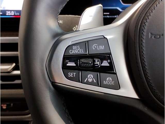 23109132_carP_l_2.jpg