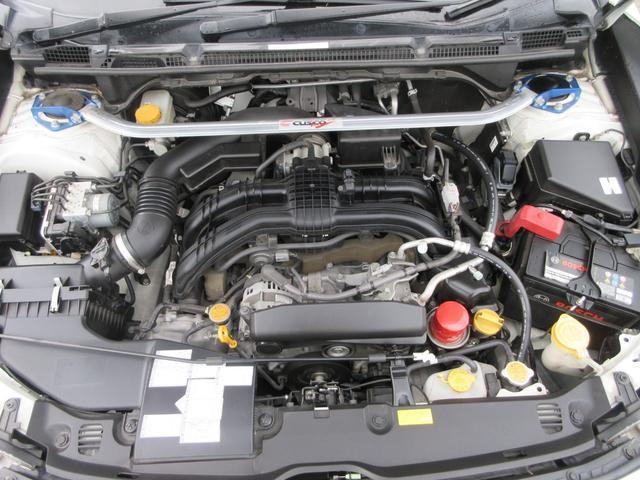 22262167_carP_l_12.jpg