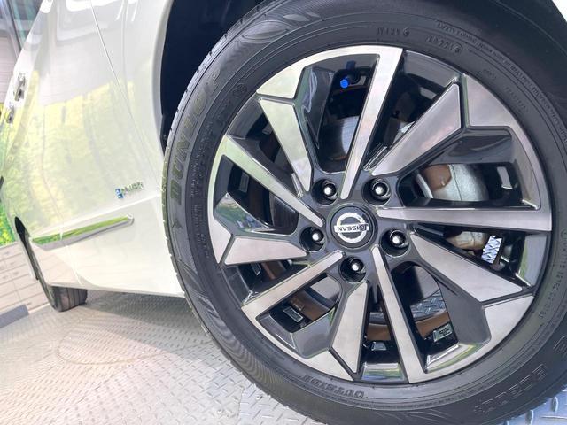 21817205_carP_l_7.jpg