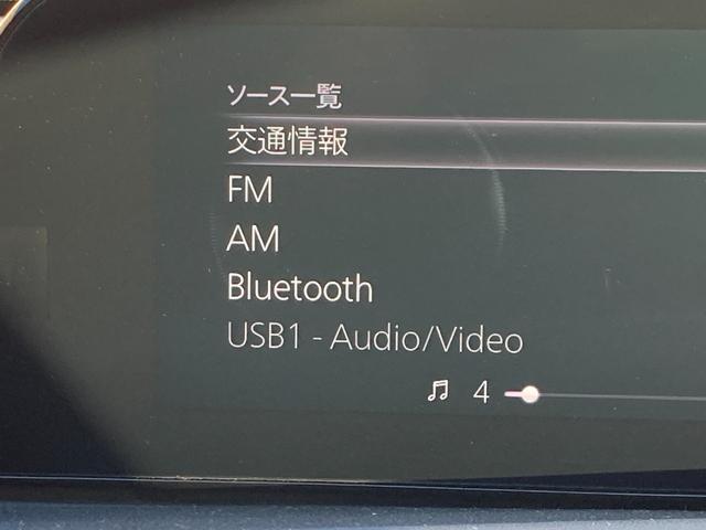 21798209_carP_l_7.jpg