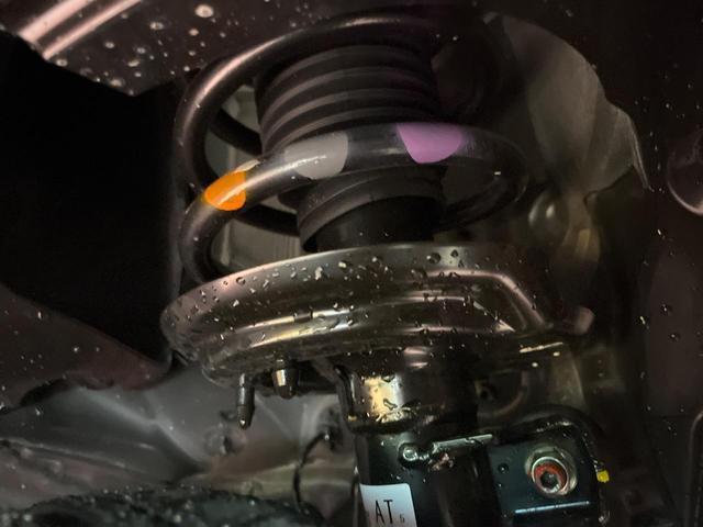 23053953_carP_l_18.jpg